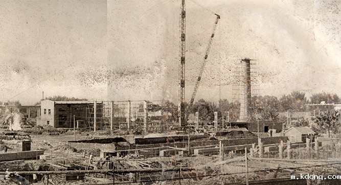 1981